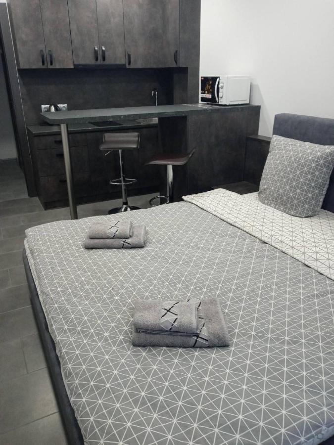 Luxury Central Apartment Użhorod Zewnętrze zdjęcie